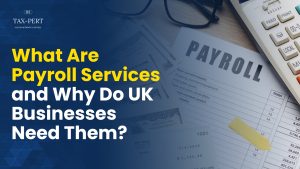 Read more about the article What Are Payroll Services and Why Do UK Businesses Need Them?